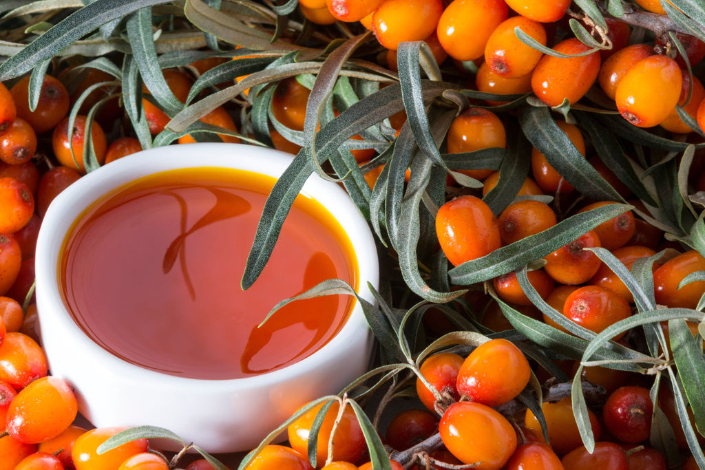 Unlocking Youthful Skin: The Amazing Skin Benefits of Sea Buckthorn